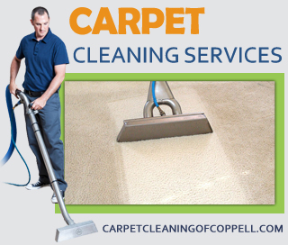 professional cleaners in Spring  TX