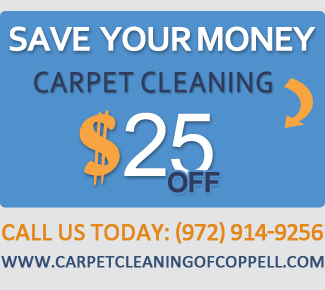 special cleaning offers